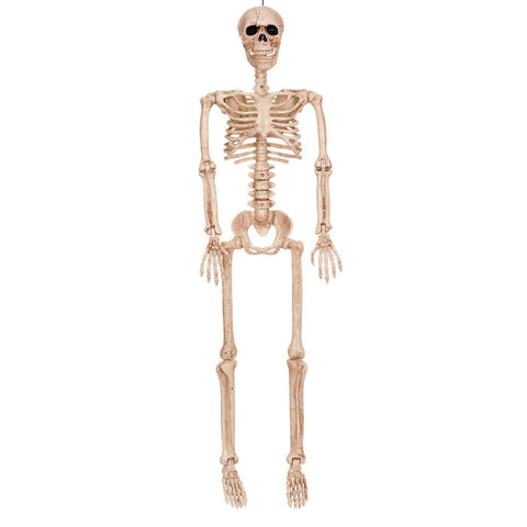 Halloween Skeletons and Skulls