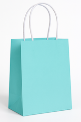Robin's Egg Blue Kraft Gift Bags - 10 Pack