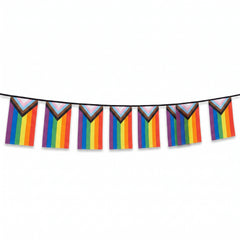 Mini Progressive Pride Flag Banner