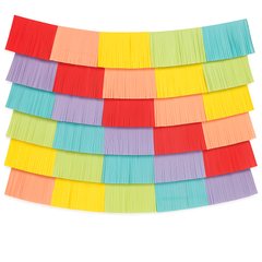 Vibrant Rainbow Fringed Backdrop Kit