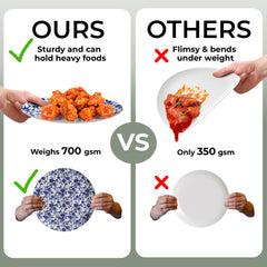 Earthtrends Bluebelle Design Plates Combo Set 16/16.