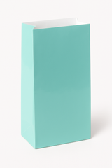 Mini Robin's Egg Blue Glossy Paper Bag