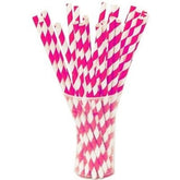 Cerise Striped Paper Straws | 100 Count