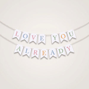 Mini Baby Pennant Banner - "Love You Already"