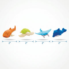 Sea Animal Erasers Mega Value Pack - 12 Count