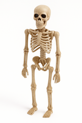 8-Inch Mini Skeleton Halloween Decoration