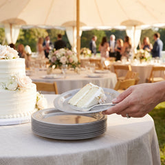 Silver Plastic Dessert Plates - 7 In. | 20 Count
