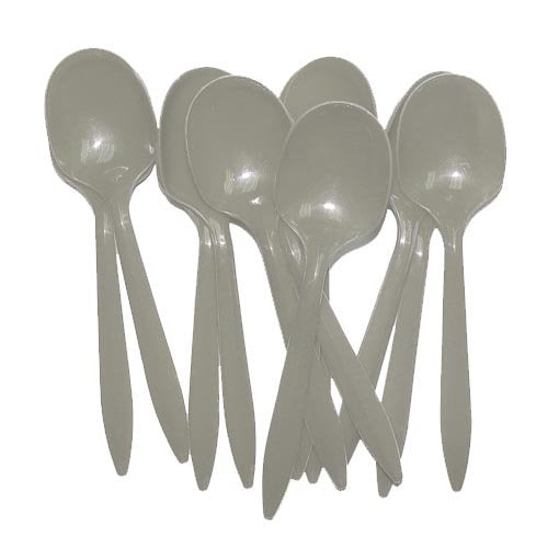 Silver Plastic Spoons | 48 Count