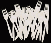 White Plastic Forks | 48 Count