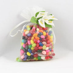 Ivory Large Organza Pouch (6)