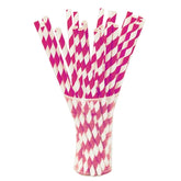 Cerise Striped Paper Straws | 25 Count