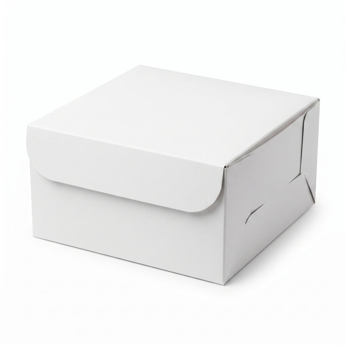 White Square Cake Box - 10x10x5 Inches