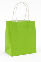Kiwi Green Kraft Gift Bag - 5" Medium Paper Bag