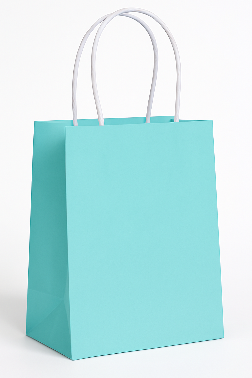 Robin's Egg Blue Kraft Gift Bags - 10 Pack