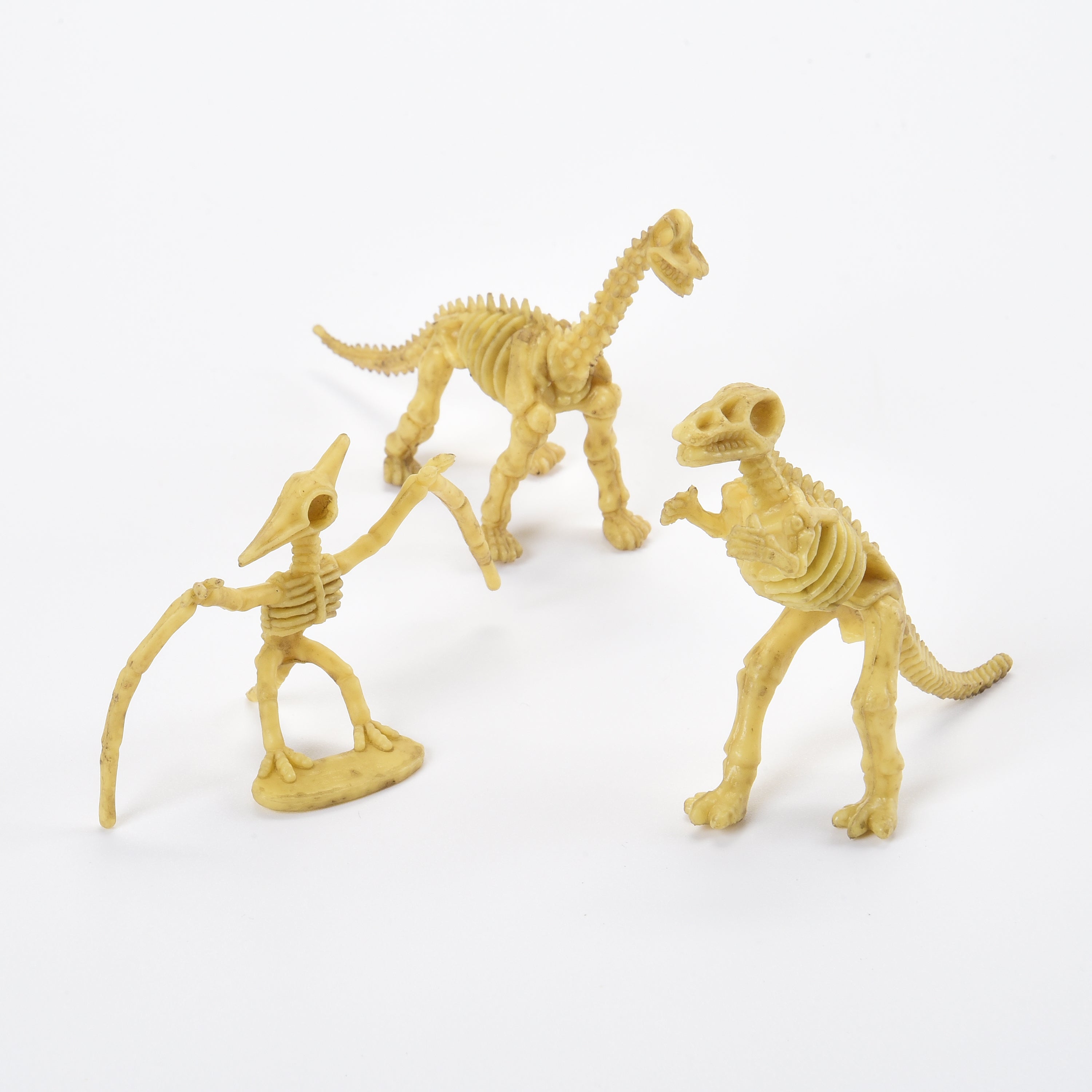 Skeleton Dinos