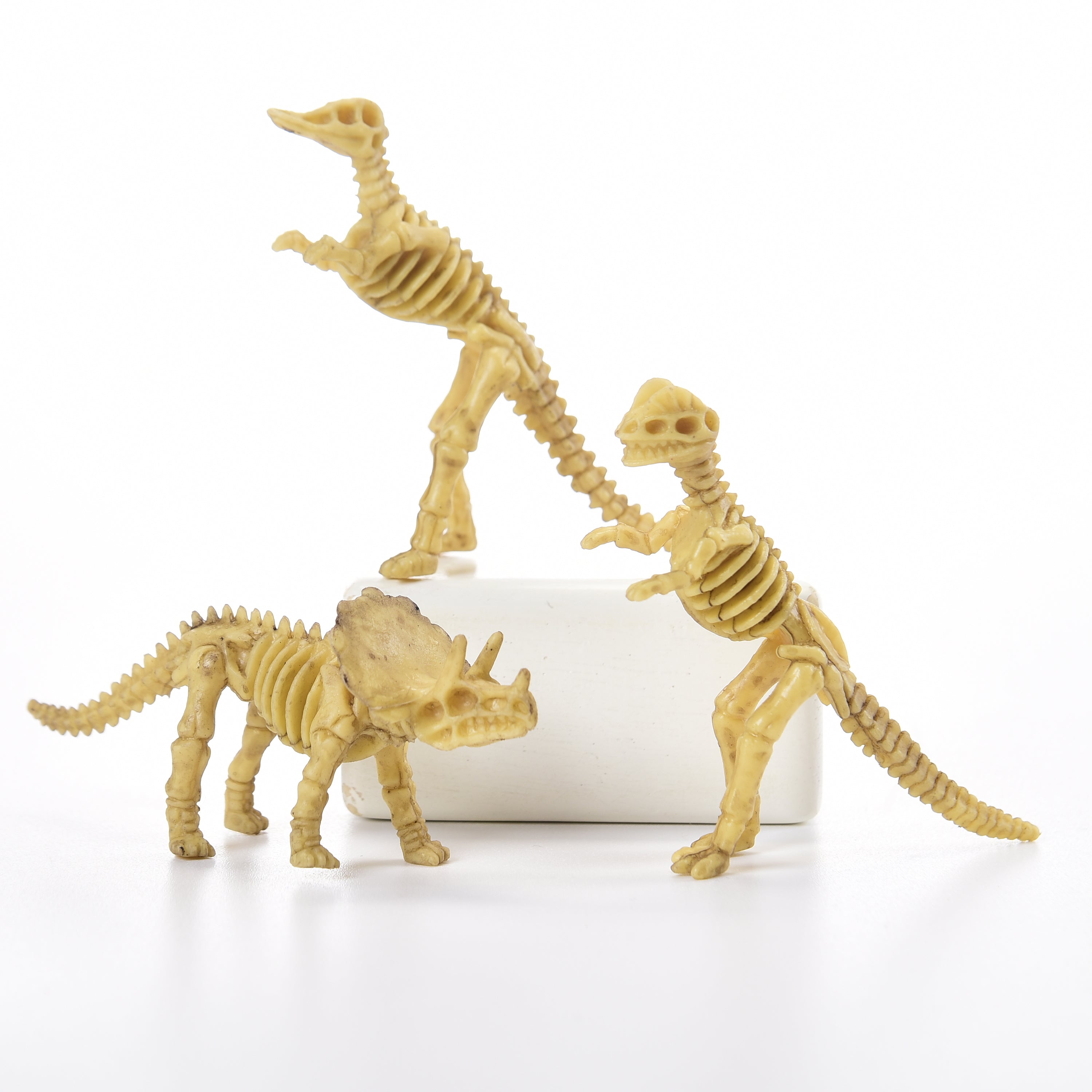 Skeleton Dinos