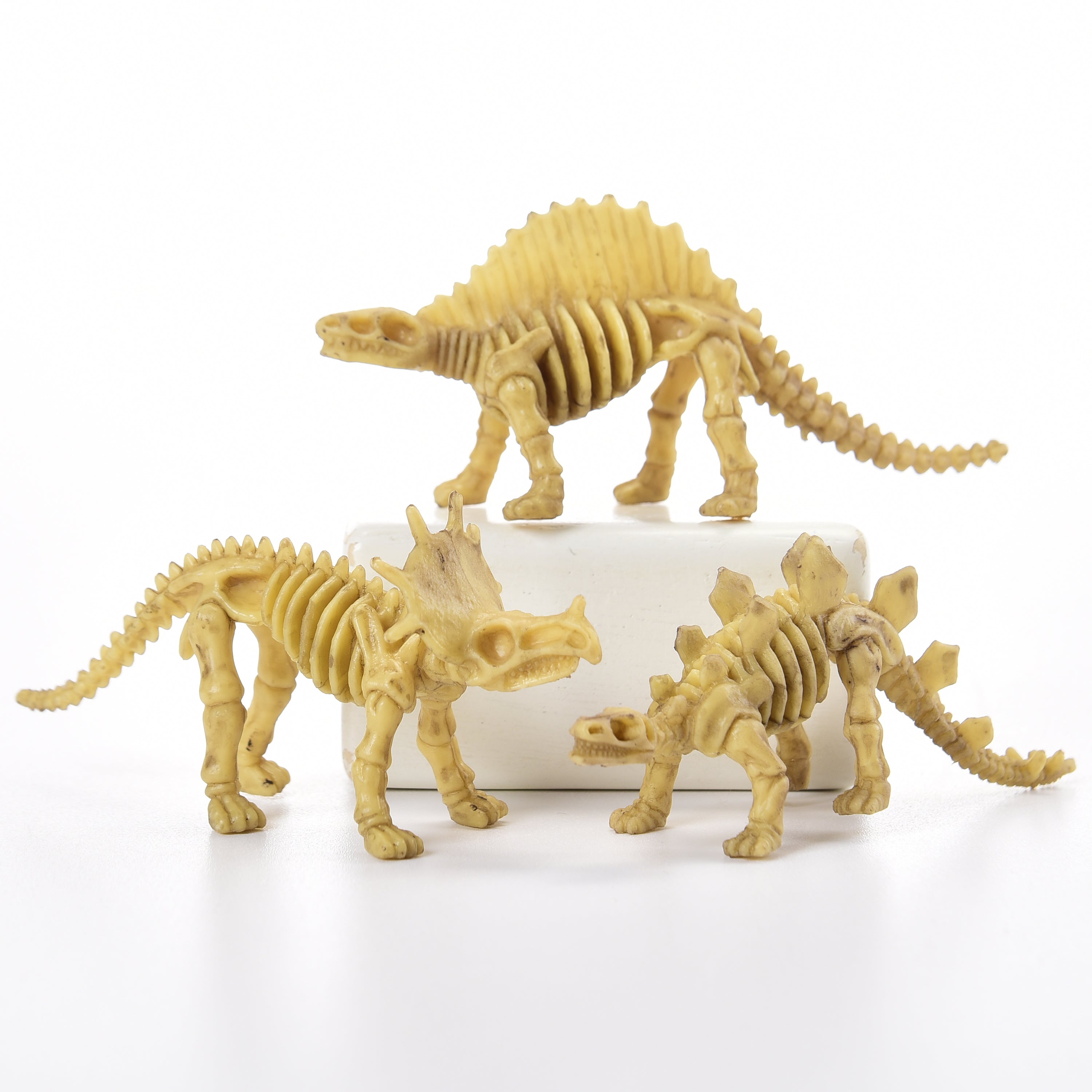 Skeleton Dinos