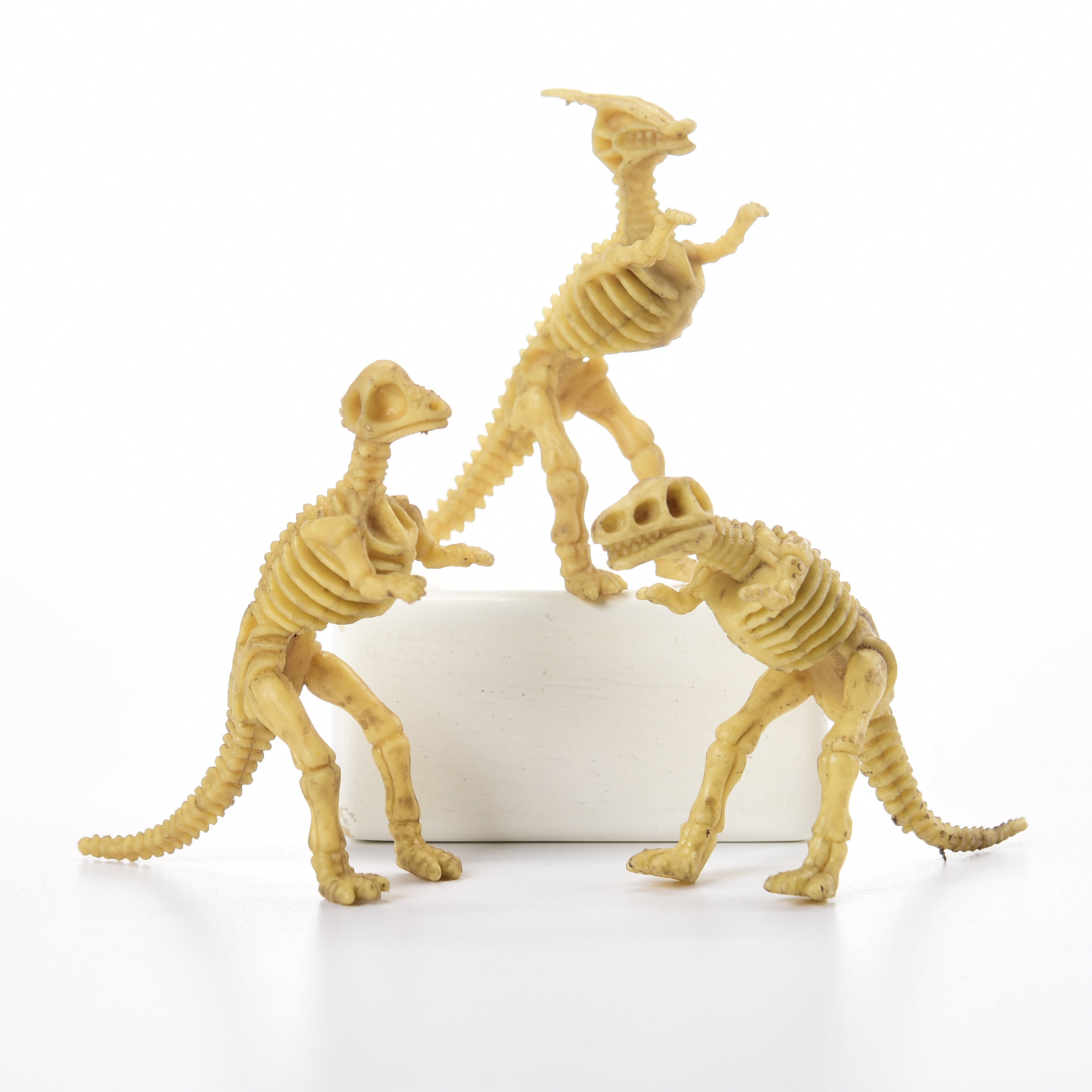 Skeleton Dinos