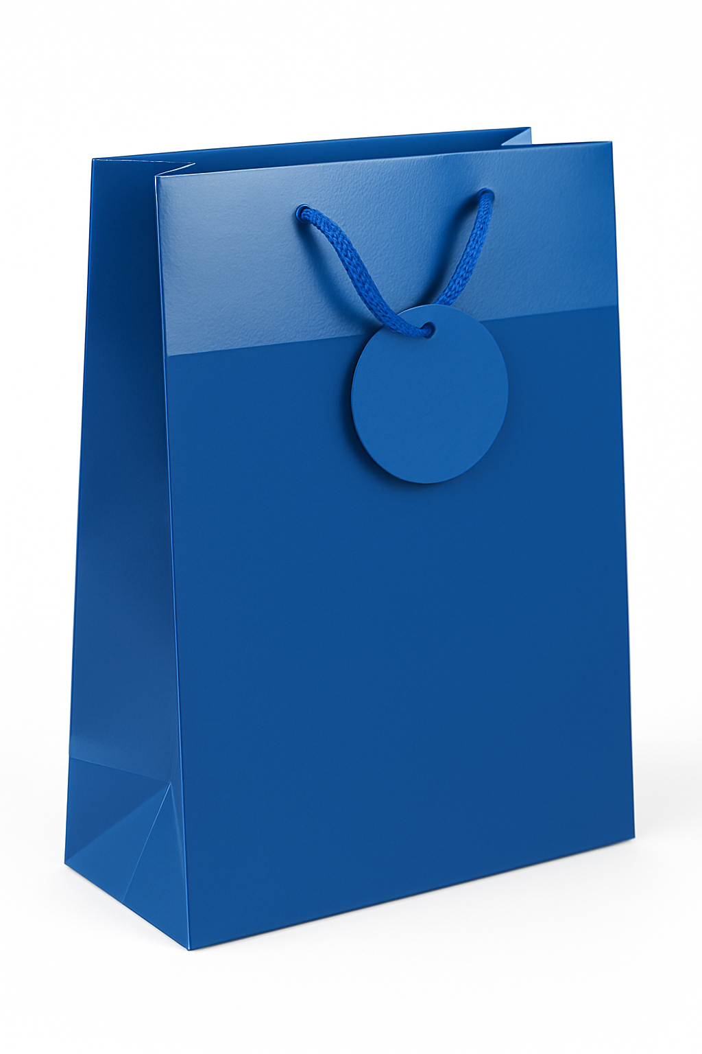 Large Glitter & Matte Gift Bag with Ribbon Handle