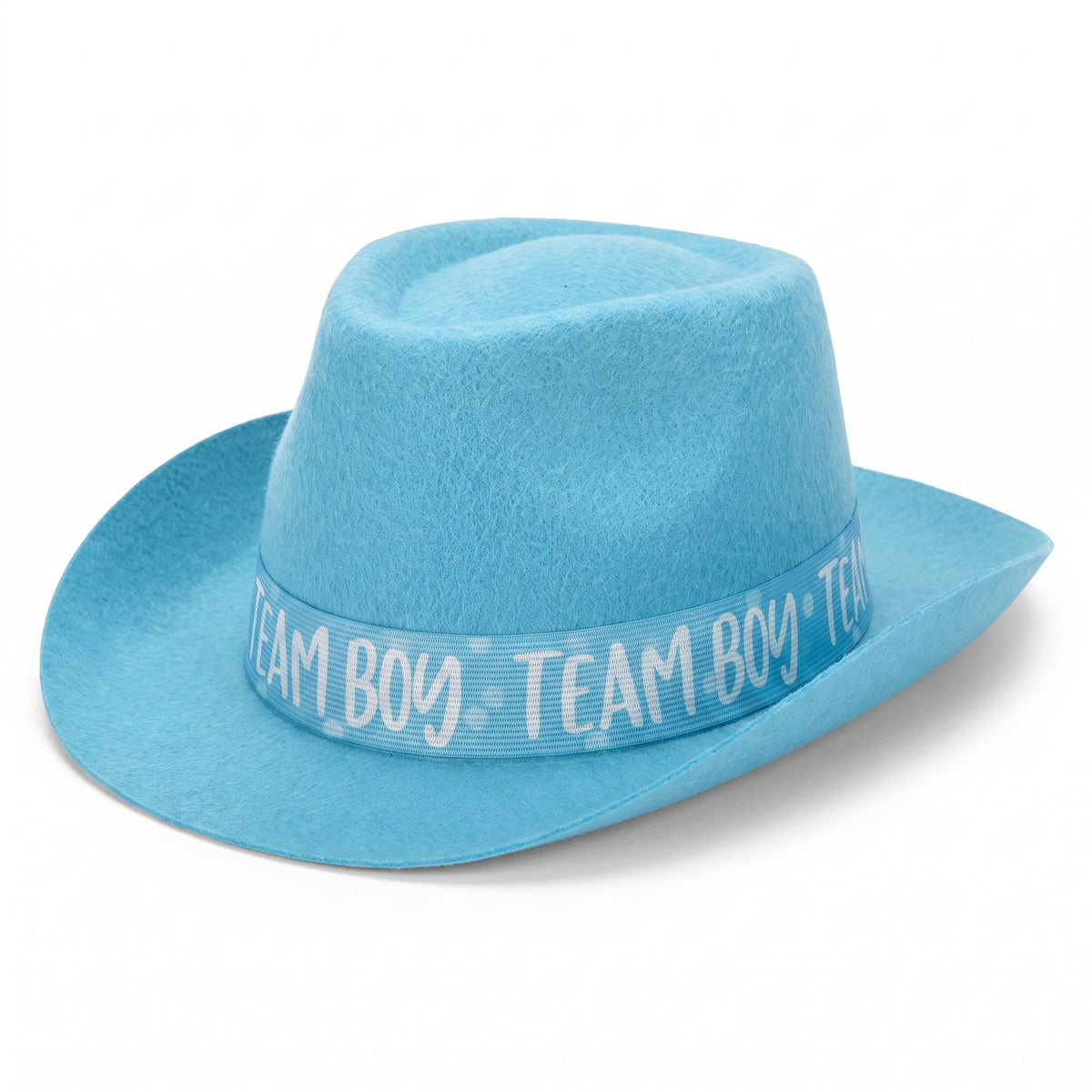 "Team Boy" Gender Reveal Felt Hat - Blue Baby Shower Wearable