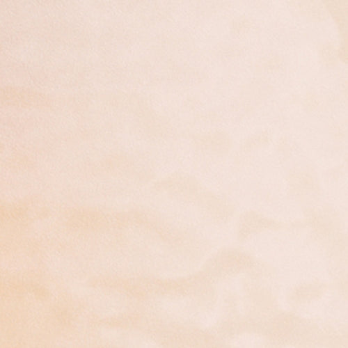 Rosé/Gold Petal Plates - Combo Pack 40/40 (Coral Peach)