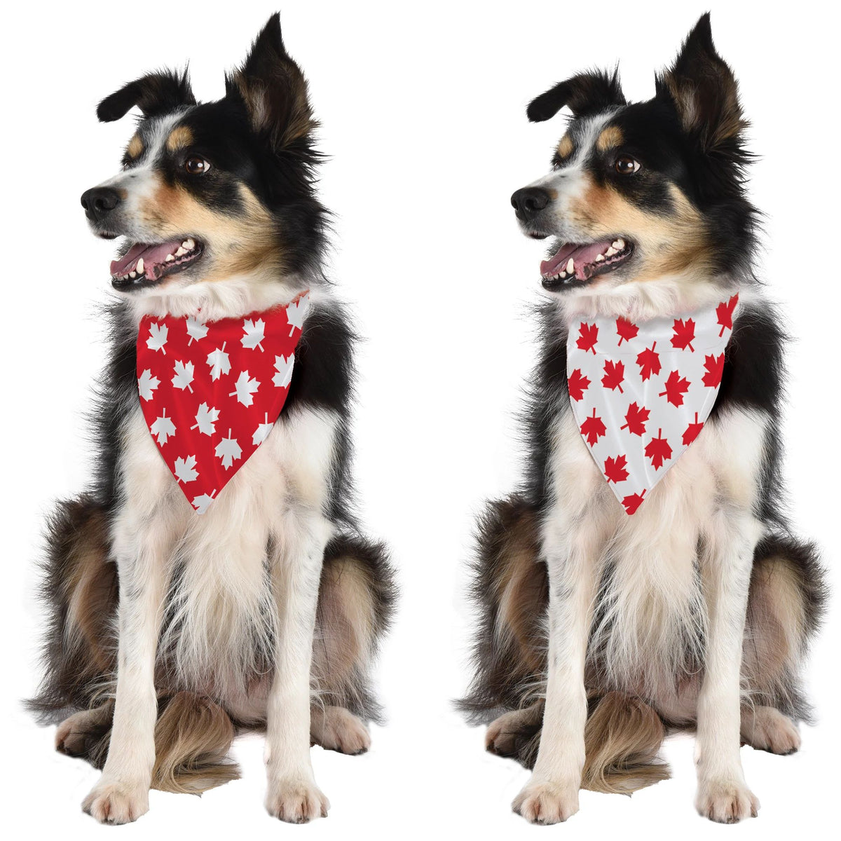 Canada Day Reversible Pet Bandana
