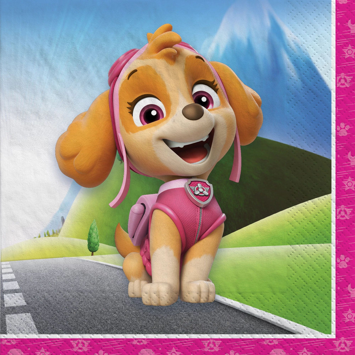 PAW Patrol Skye Beverage Napkins - 5 In. X 5 In.