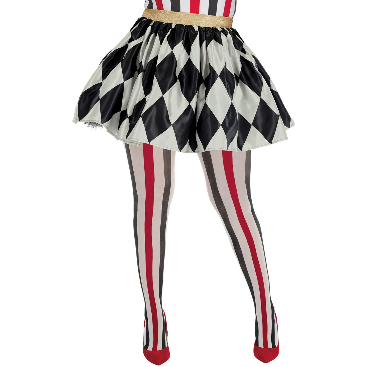 Vintage Circus Skirt & Tights Halloween Accessory Set - Adult 2XL (18-20)