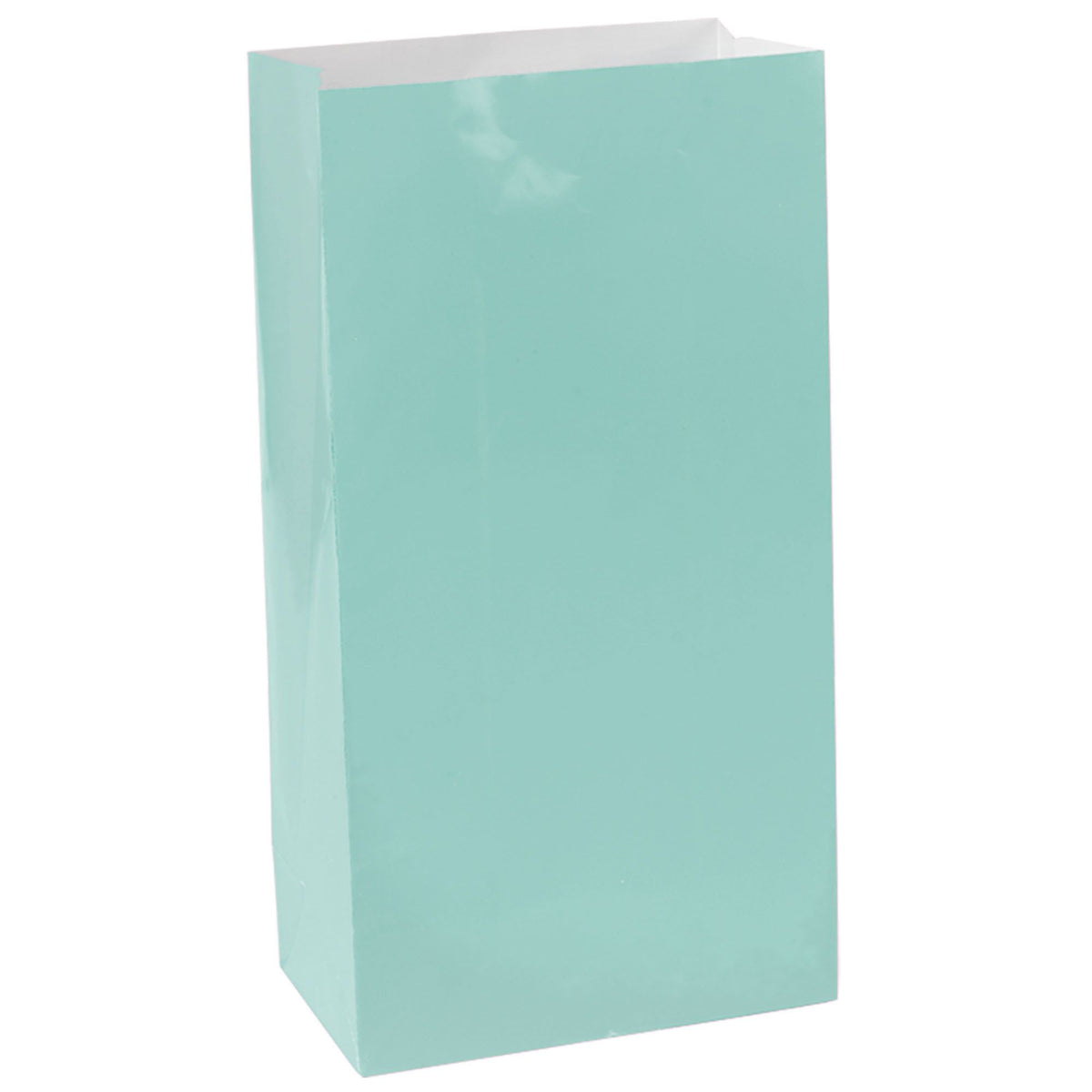 Robin's Egg Blue Paper Treat Bags - 12 Pack