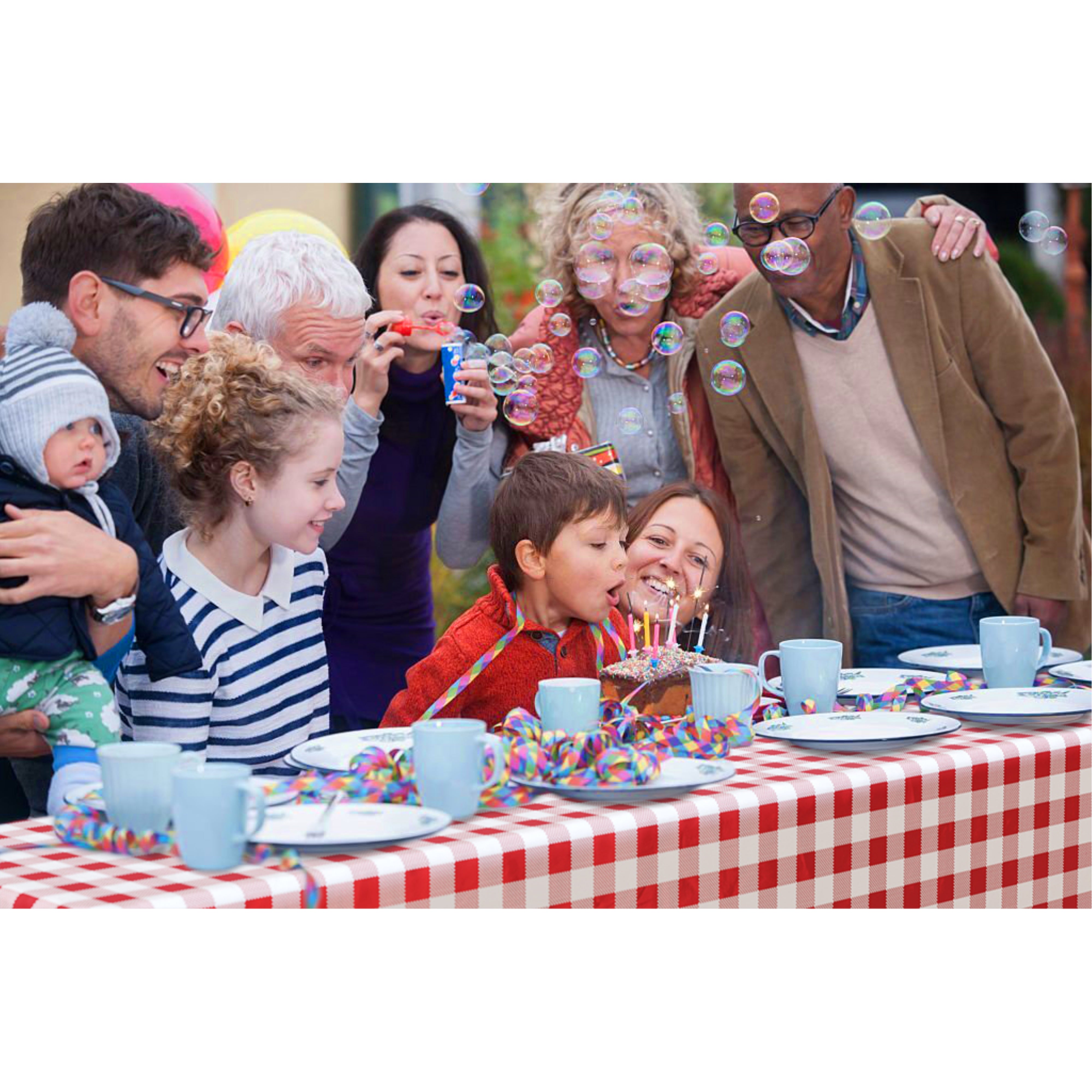54 In. x 100 Ft. Cut to Size Table Cover | Red Gingham