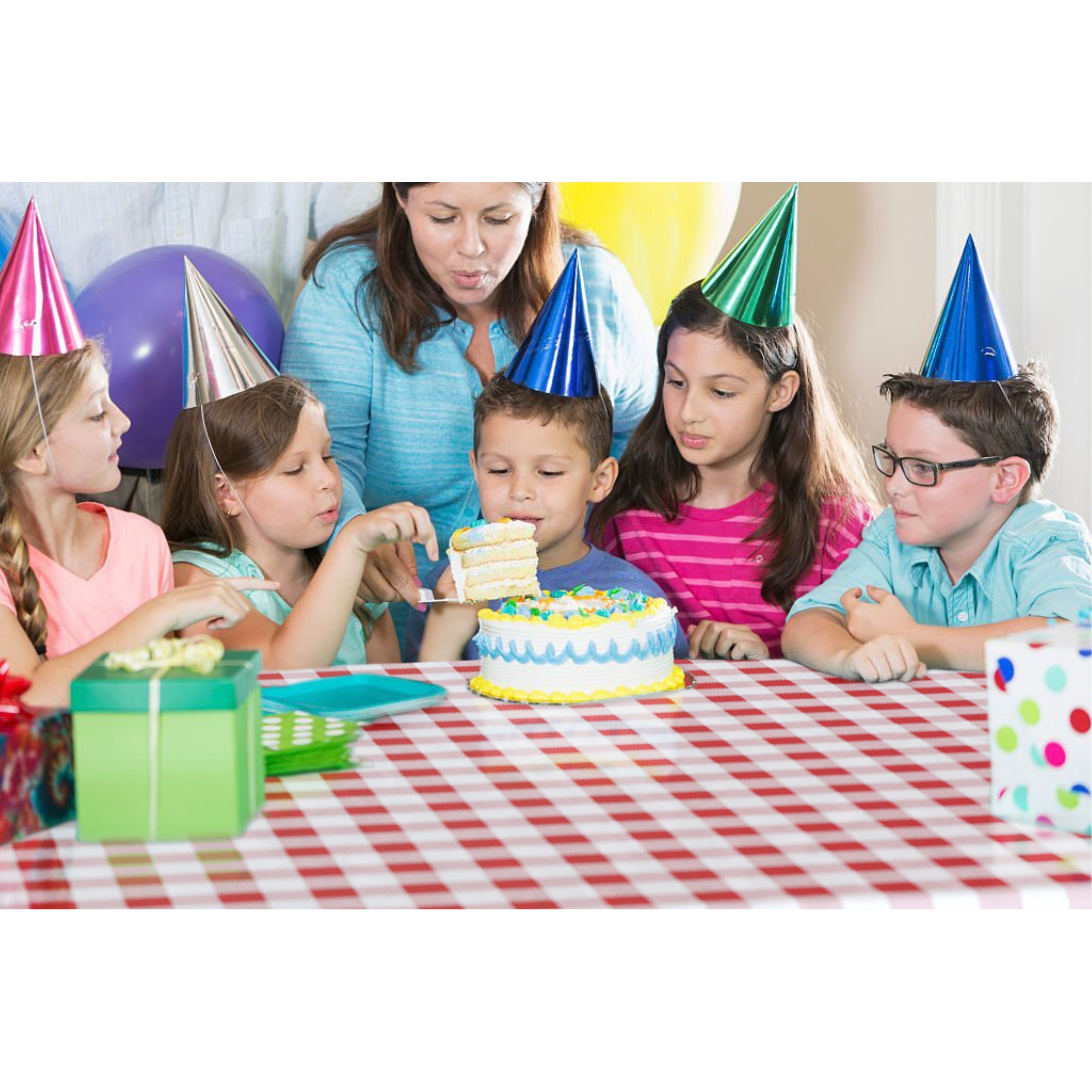 54 In. x 100 Ft. Cut to Size Table Cover | Red Gingham
