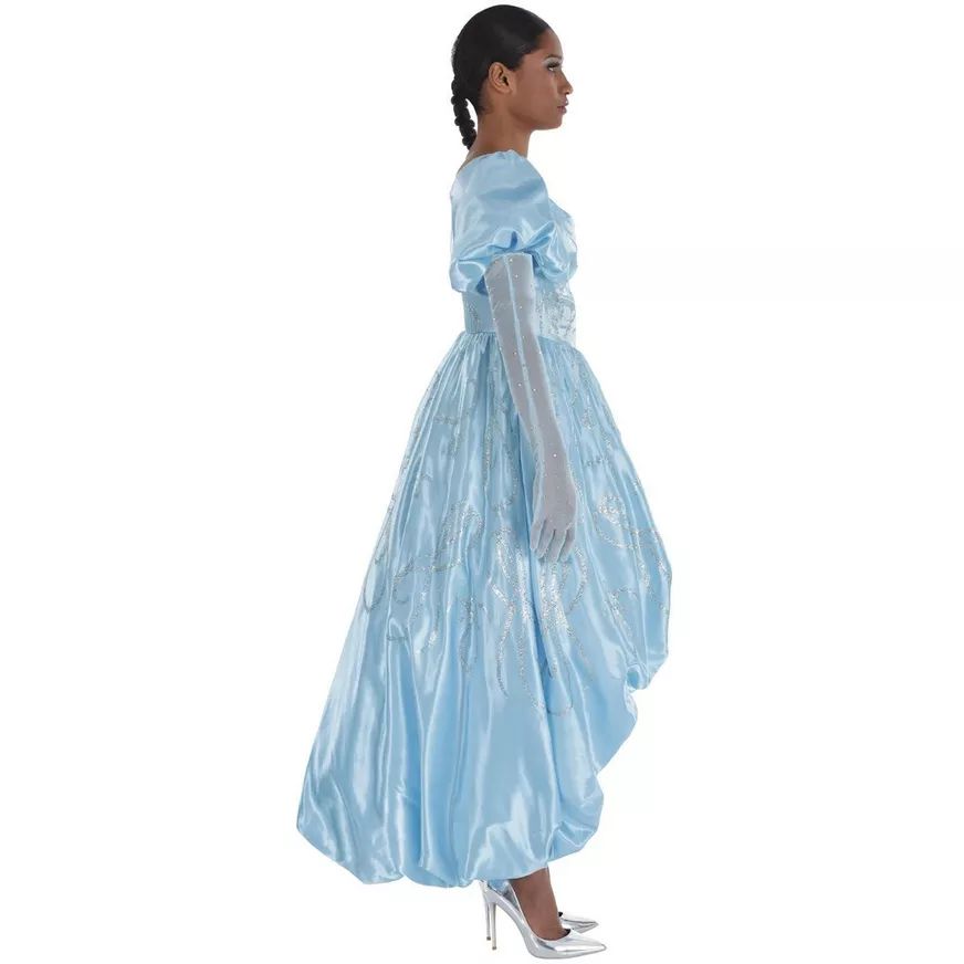 Women's Disney Descendants 4 Cinderella Halloween Costume