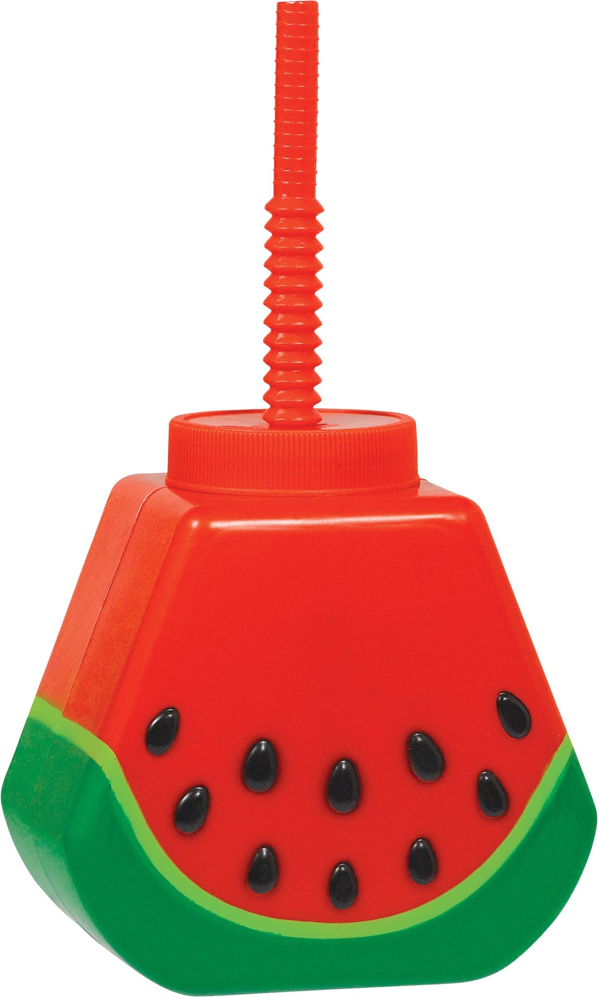 Watermelon Sippy Cup with Straw - Fun Summer Drinkware