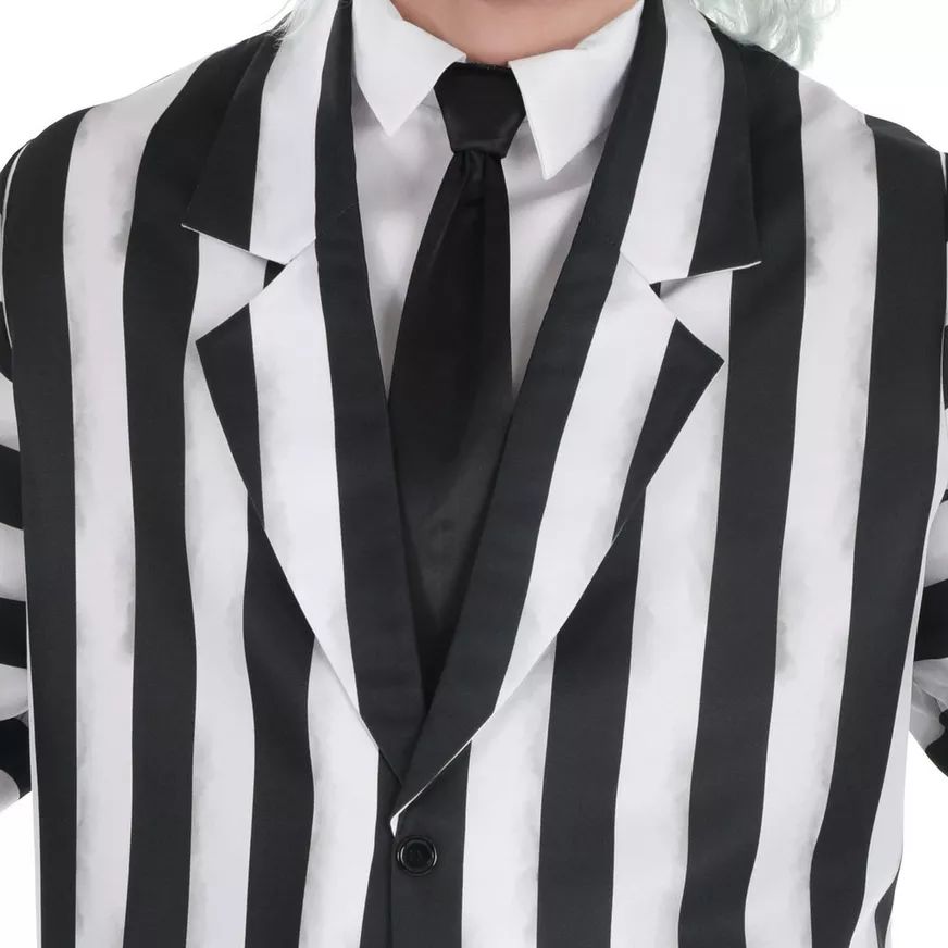 Men's Classic Beetlejuice Striped Halloween Costume