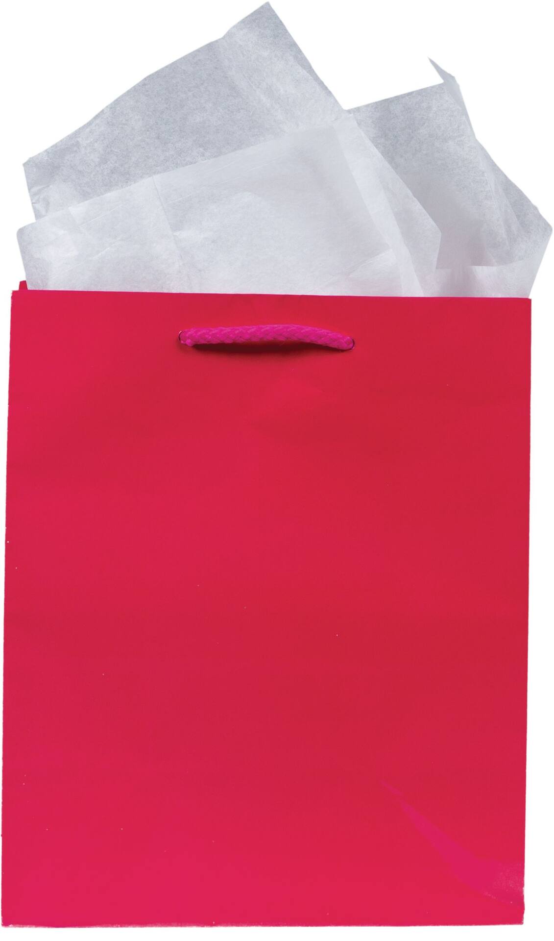 Glossy Bright Pink Gift Bag - Medium Size