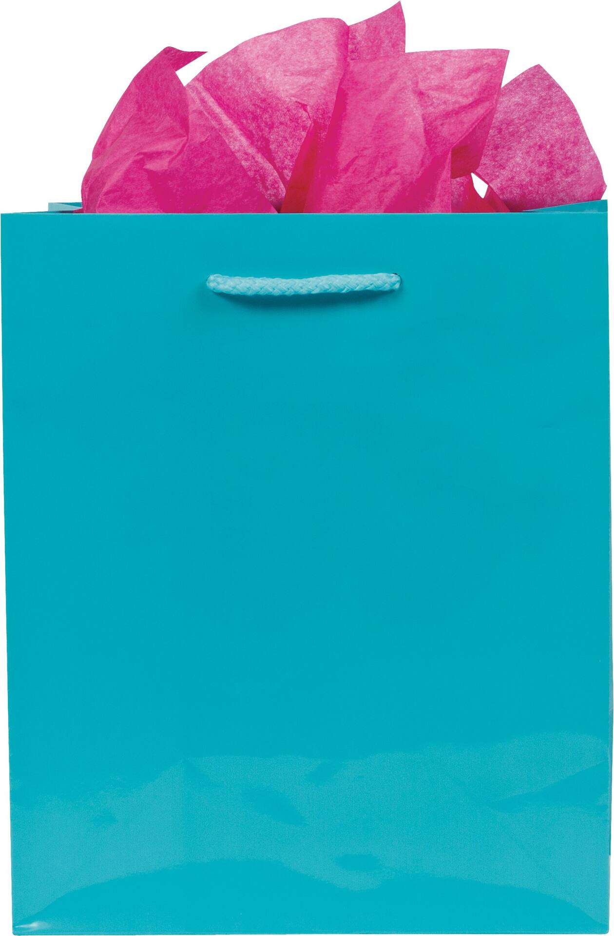 Glossy Bright Pink Gift Bag - Medium Size
