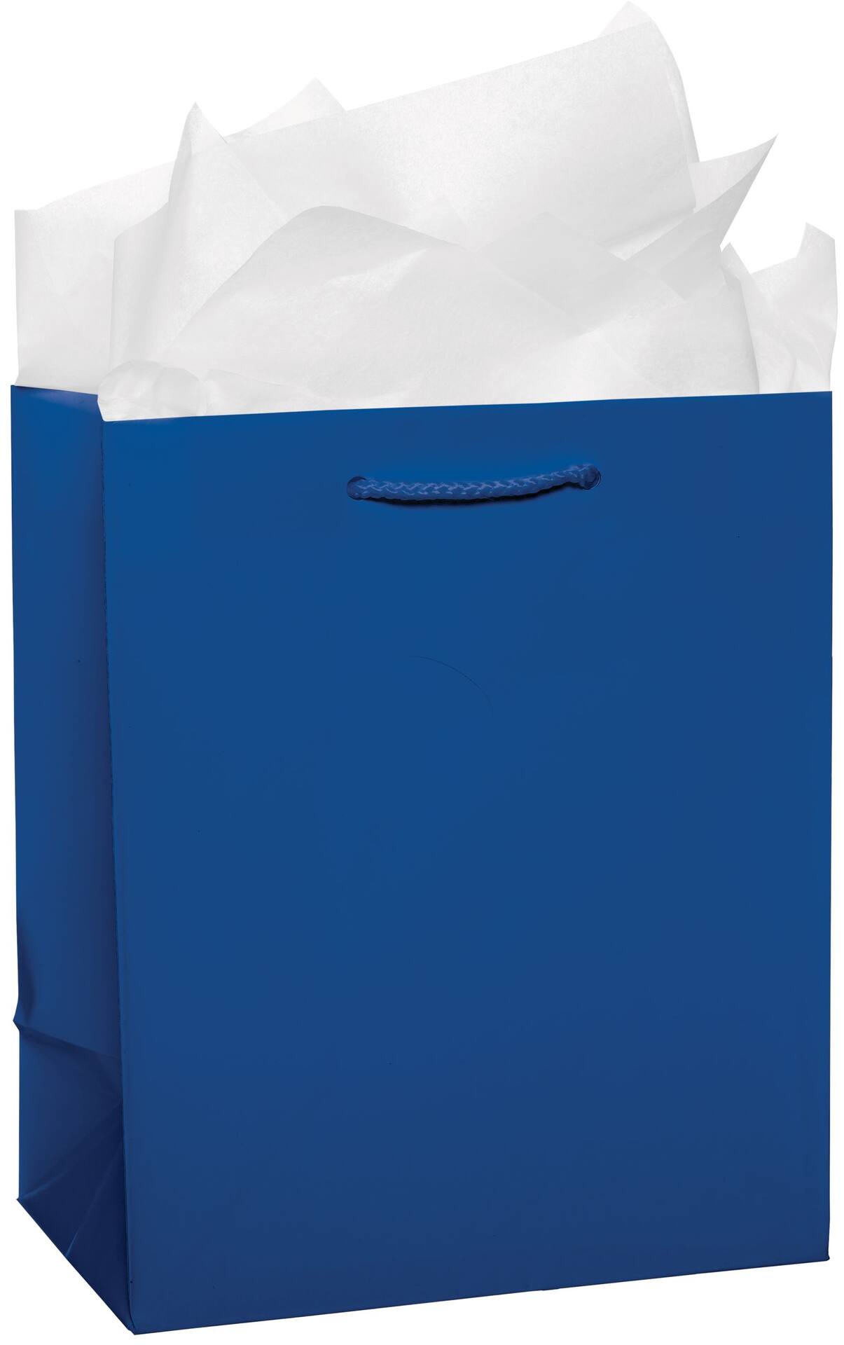 Glossy Bright Pink Gift Bag - Medium Size