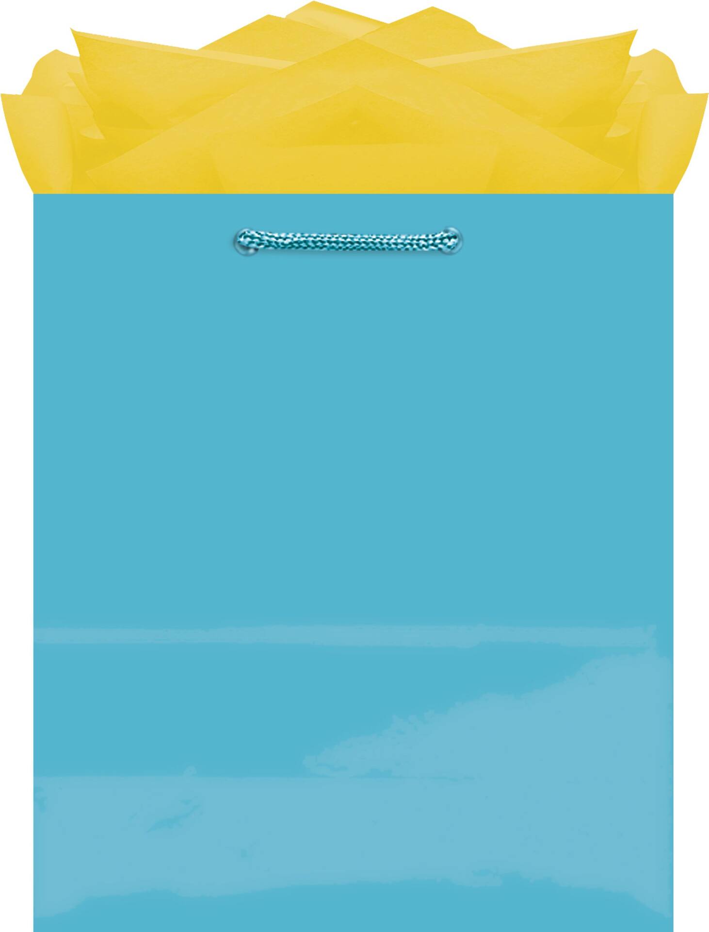 Glossy Bright Pink Gift Bag - Medium Size