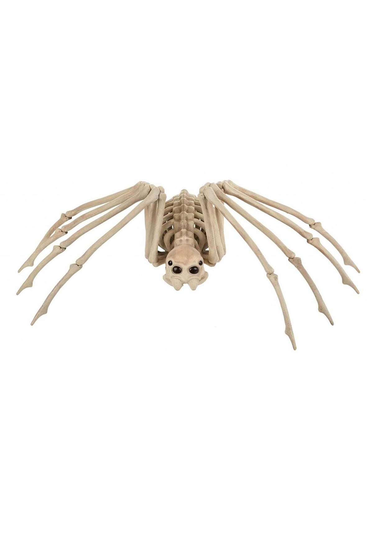 Medium Skeleton Spider Halloween Decoration