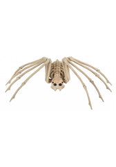 Medium Skeleton Spider Halloween Decoration