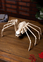 Medium Skeleton Spider Halloween Decoration