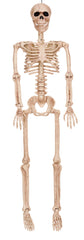36" Posable Skeleton Halloween Prop