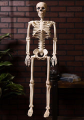 36" Posable Skeleton Halloween Prop