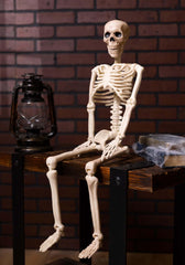 36" Posable Skeleton Halloween Prop