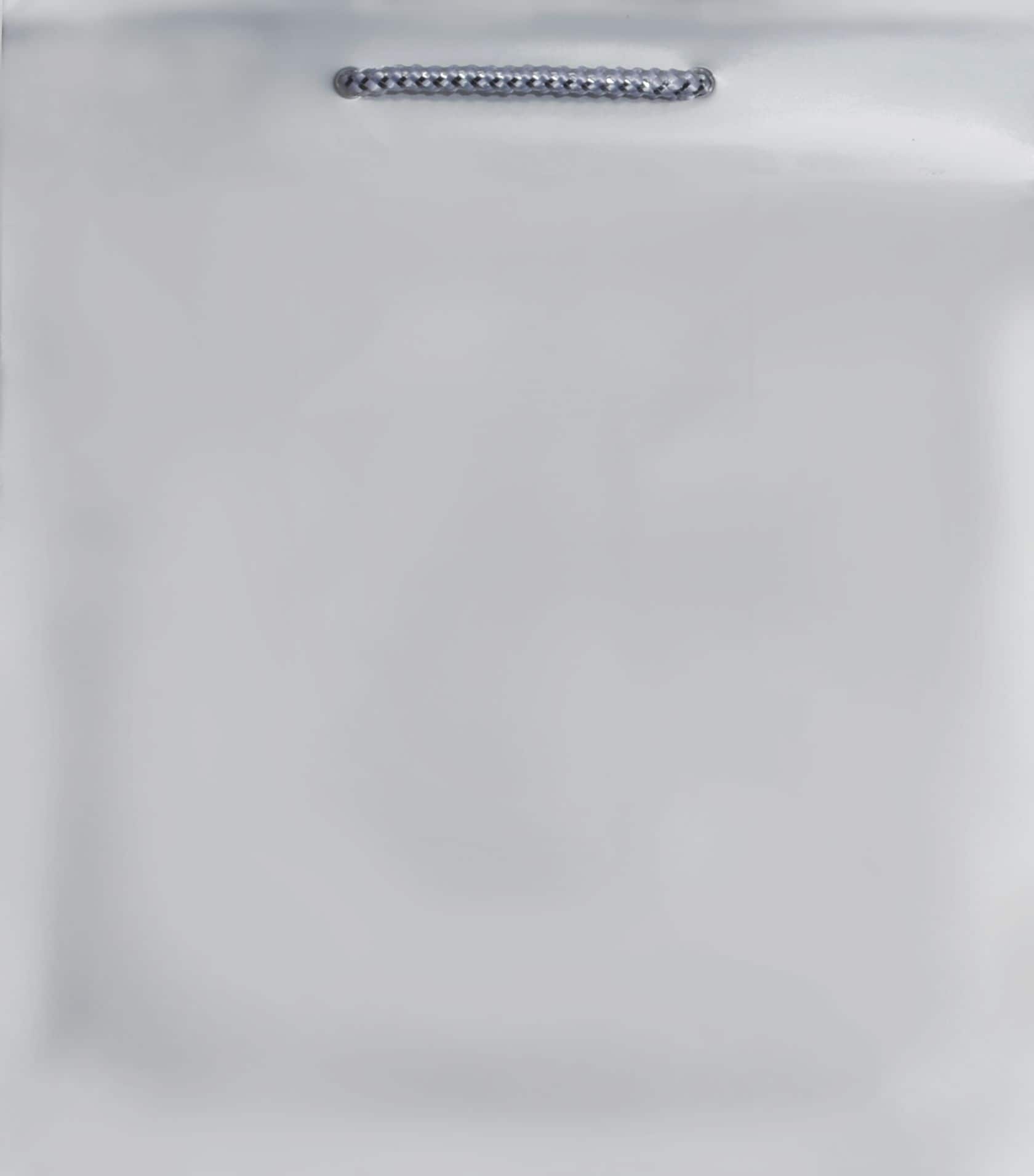 PMA - Paper Gift Bag, Assorted Colours, 9.5-in, for Birthday/Valentine's Day/Easter/Baby Shower