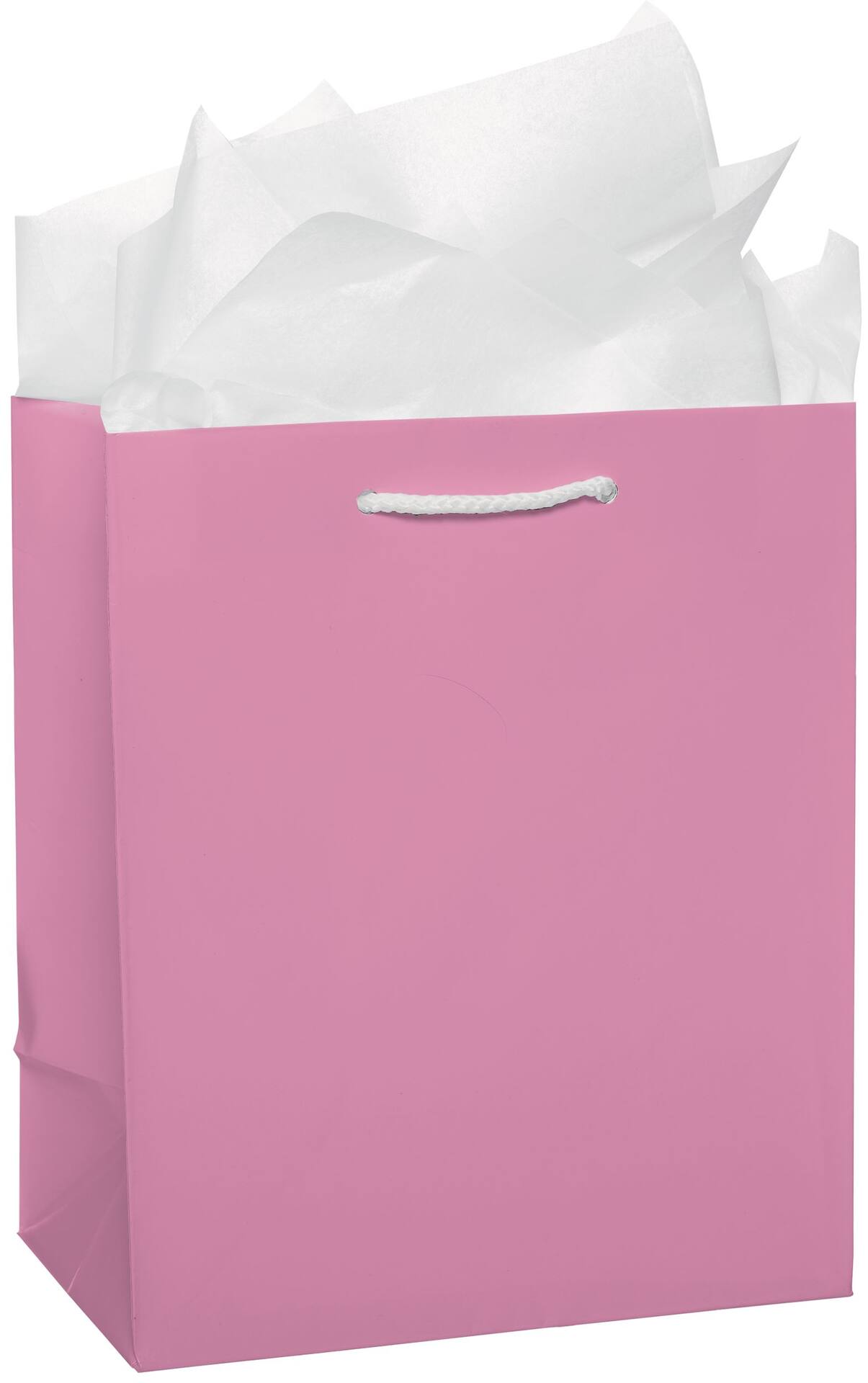 PMA - Paper Gift Bag, Assorted Colours, 9.5-in, for Birthday/Valentine's Day/Easter/Baby Shower
