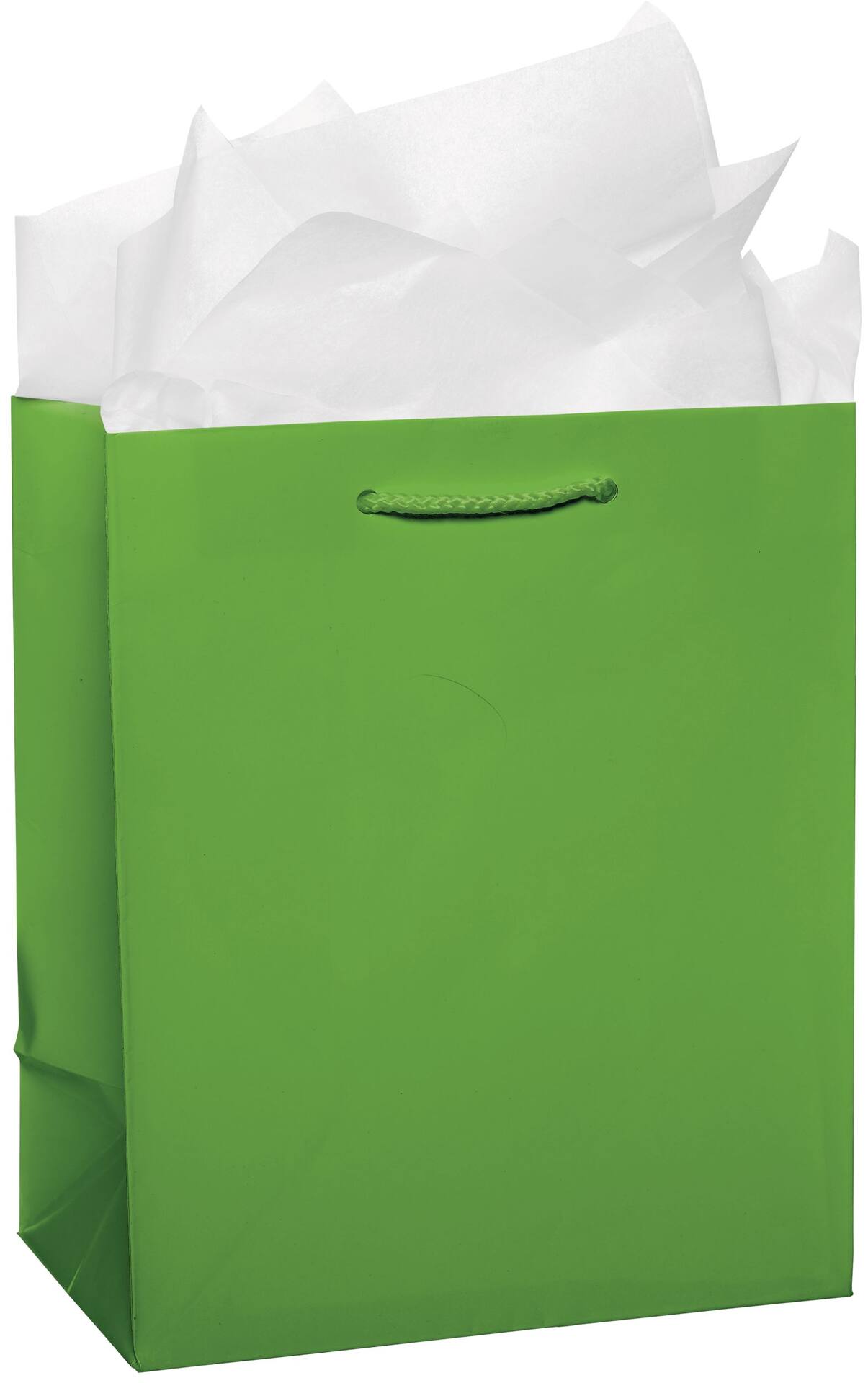 Urban Air - Paper Gift Bag, Assorted Colours, 9.5-in, for Birthday/Valentine's Day/Easter/Baby Shower