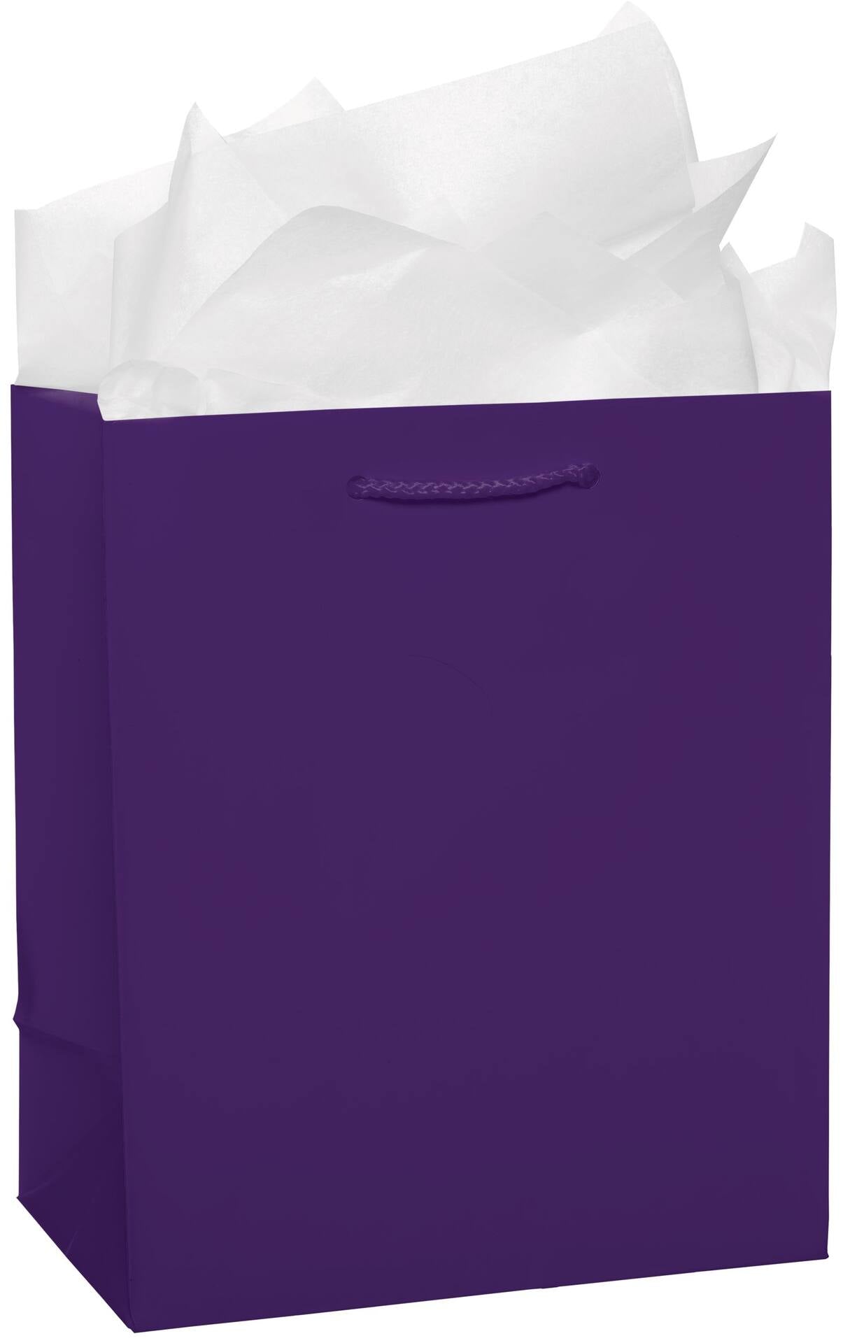 Urban Air - Paper Gift Bag, Assorted Colours, 9.5-in, for Birthday/Valentine's Day/Easter/Baby Shower