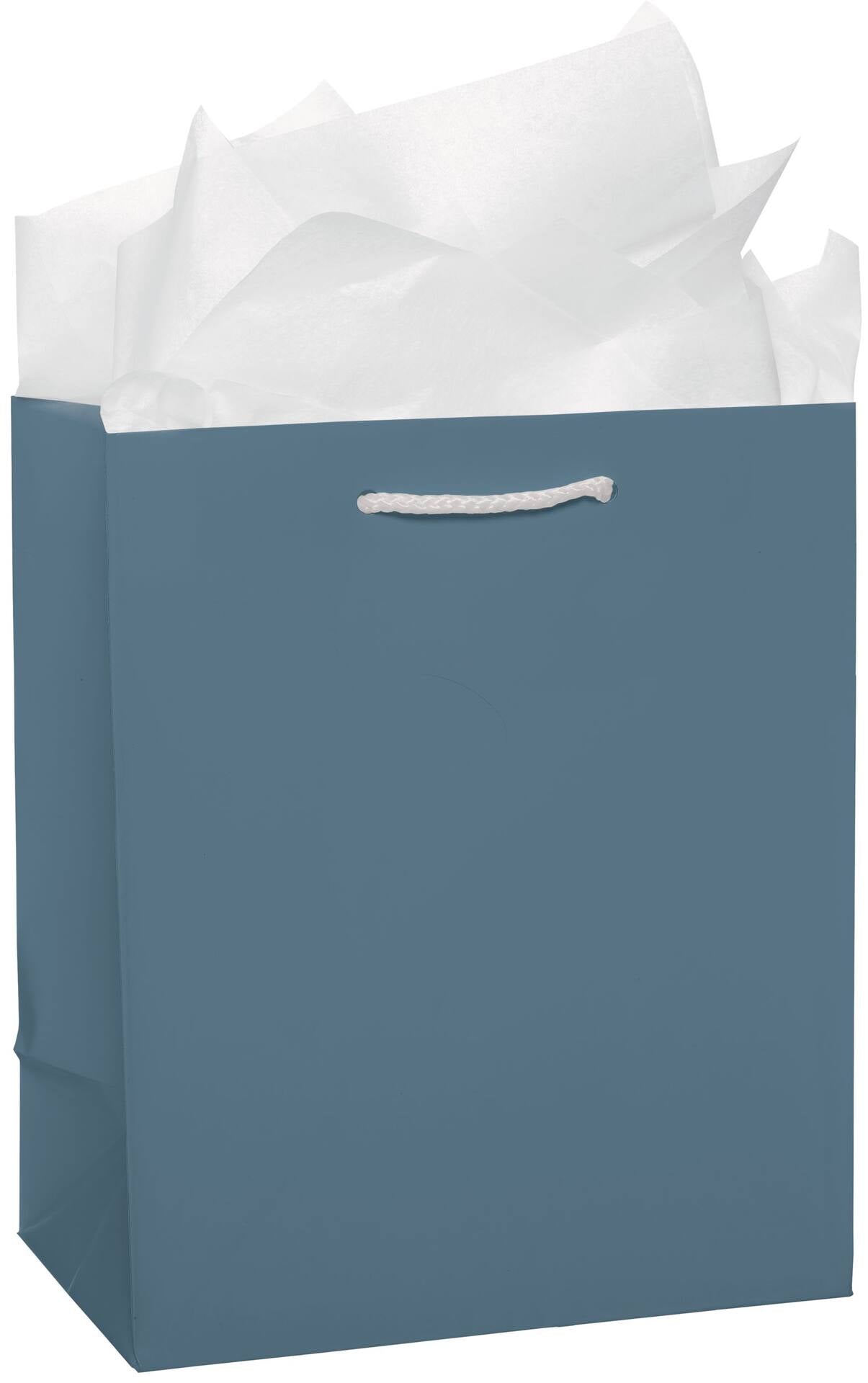 Urban Air - Paper Gift Bag, Assorted Colours, 9.5-in, for Birthday/Valentine's Day/Easter/Baby Shower