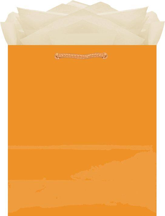 Urban Air - Paper Gift Bag, Assorted Colours, 9.5-in, for Birthday/Valentine's Day/Easter/Baby Shower